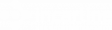 IncarLine Logo